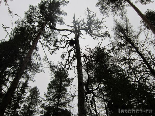 photo_00079.jpg