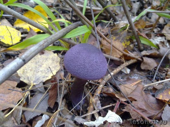 25092011275.jpg