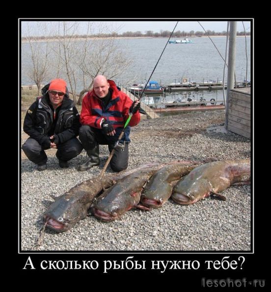 fdf57fc18f8d74a681ec6a486ae65d.jpeg