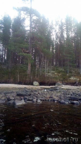 photo_00318.jpg