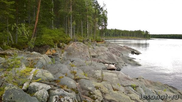 WP_20150708_047.jpg