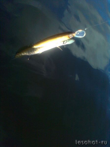 �������� ������� 09.11.2013 (3).jpg