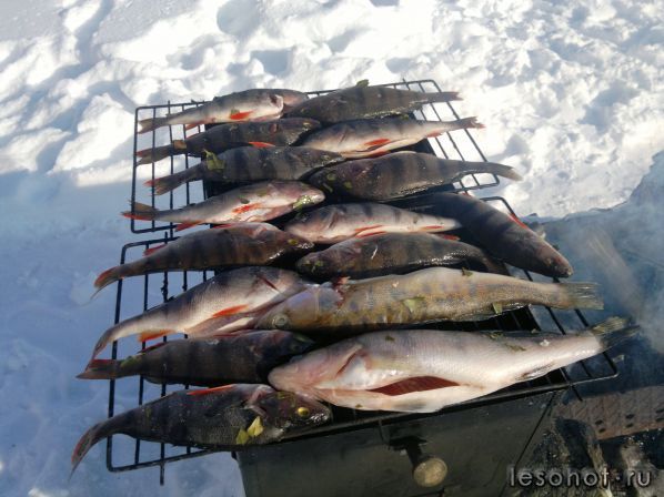 18022012738.jpg