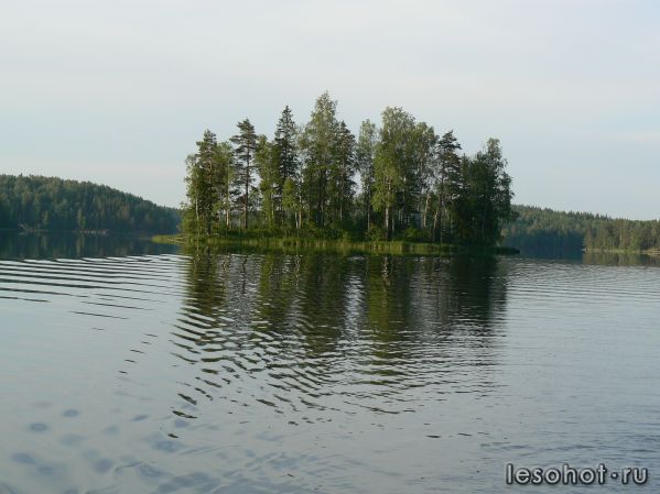 P1030183.JPG