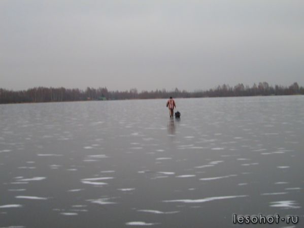IMG_0271.JPG