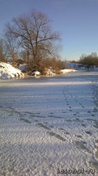 WP_20161122_11_41_17_Pro.jpg