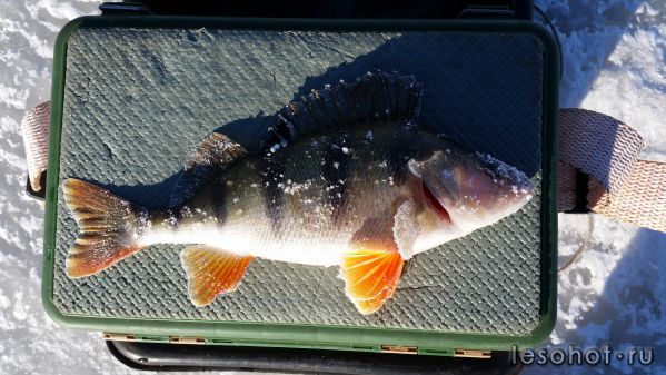 20141024_143358.jpg