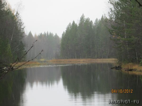 IMG_0116.JPG