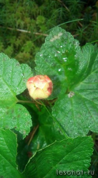 photo_00063.jpg