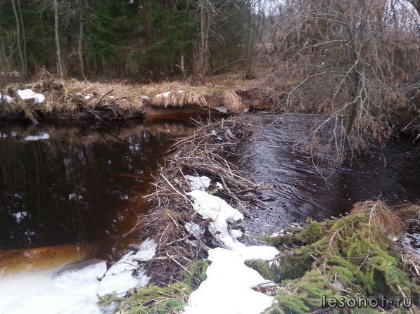 20140325_171751.jpg