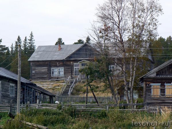 1-260.jpg
