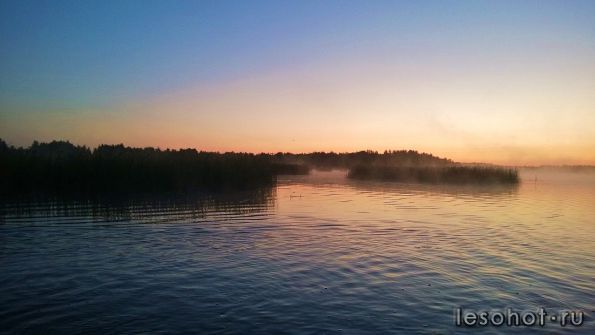 WP_20140731_004.jpg