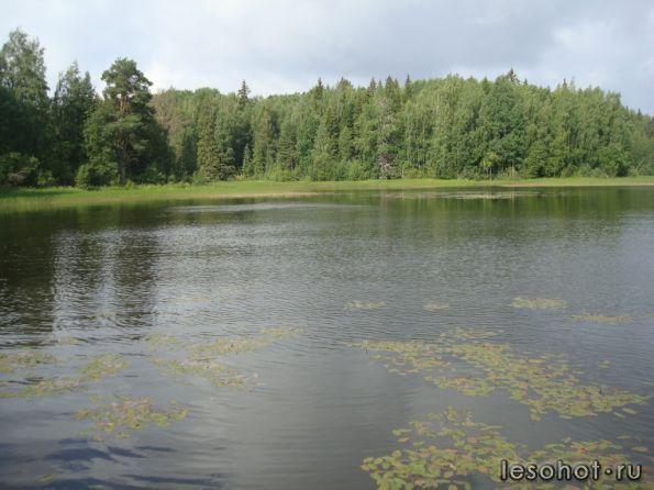 DSC02645.JPG