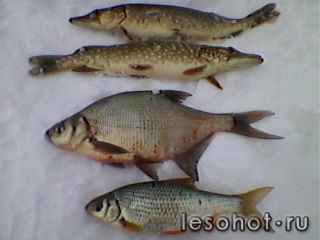 SP_A0034.jpg