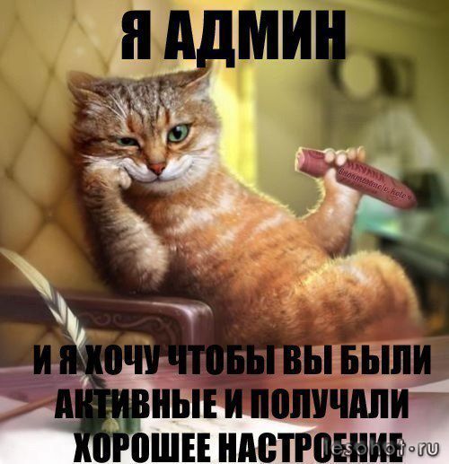 KZklkdyE4w0.jpg