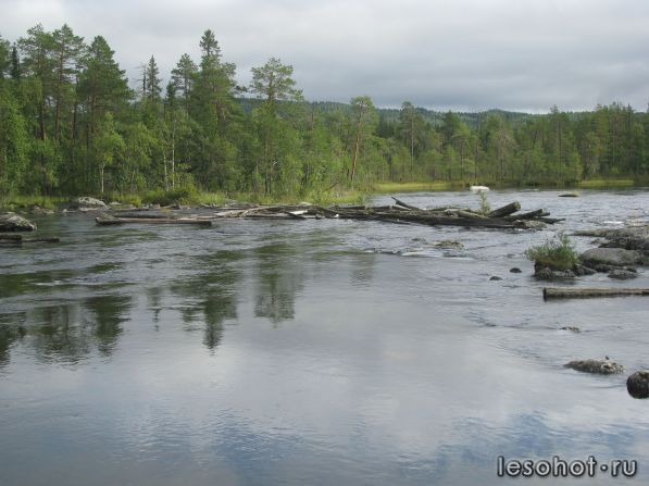 IMG_0904.JPG