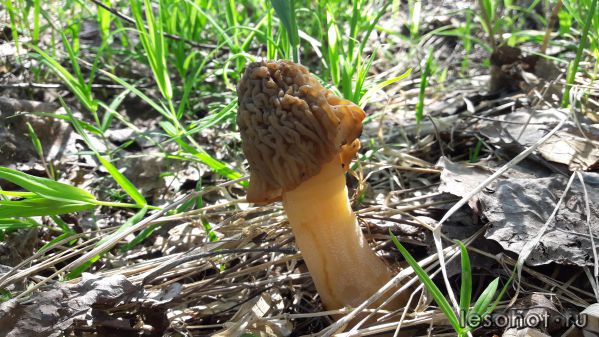 20180514_085144.jpg
