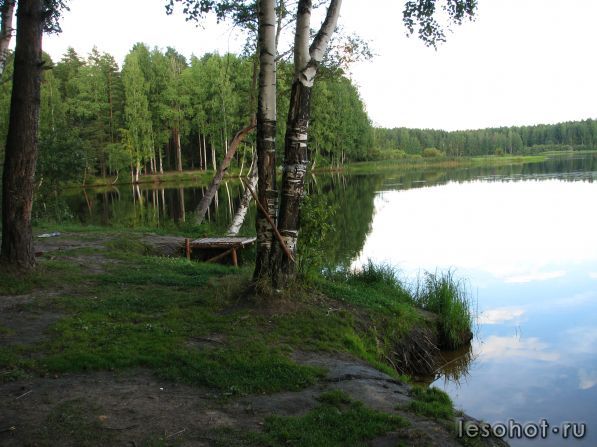 IMG_2085.jpg
