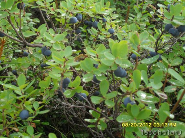 photo_00015.jpg