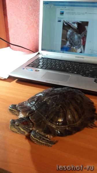 20160917_174355.jpg