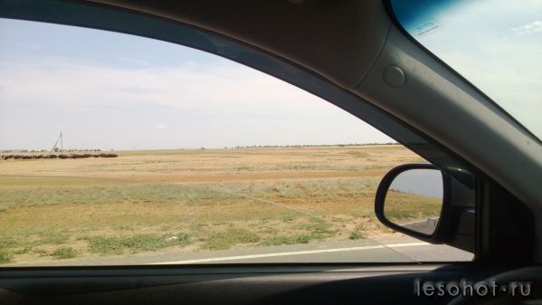 WP_20130630_012.jpg