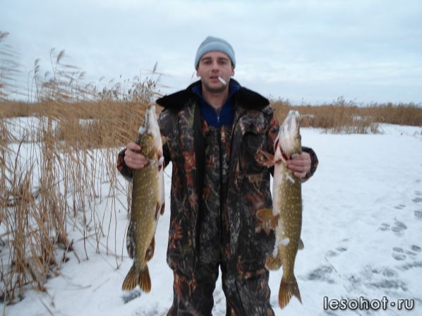 ����� 24.11.2011 (3).JPG