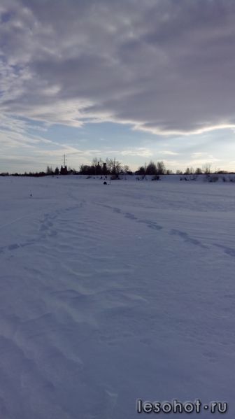 IMG_20150218_155333.jpg