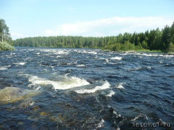 photo_00166.jpg