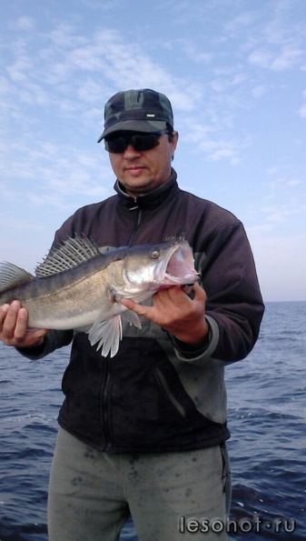 ����11.09.14�������� (2) - �����.jpg