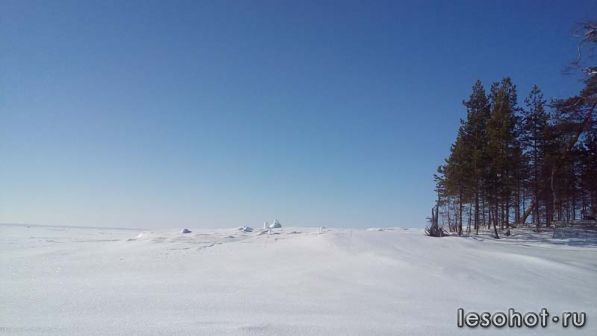 20170306_123551.jpg