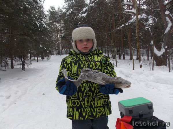 DSCN5643.JPG