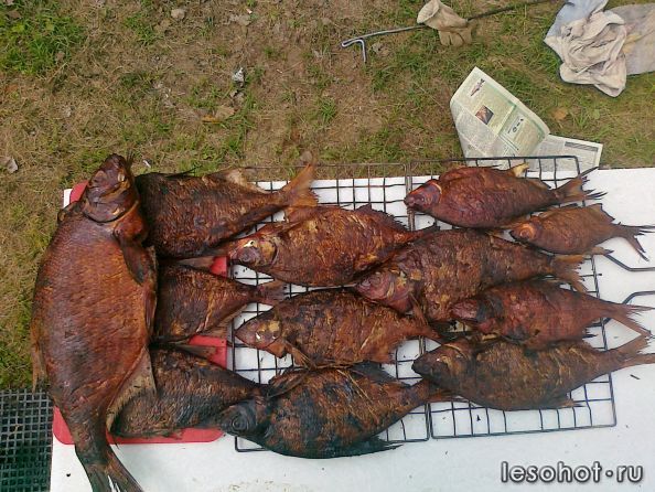 27062012839.jpg