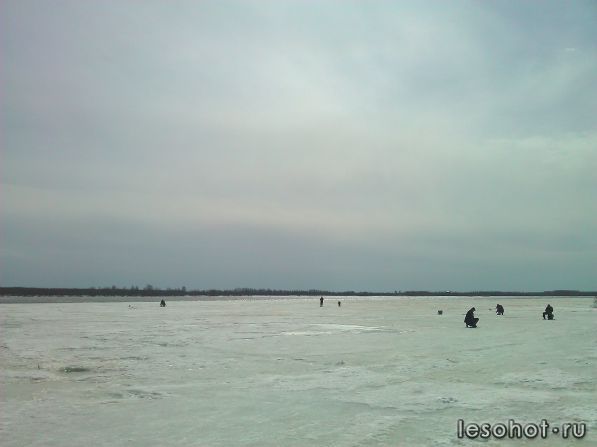 WP_000939.jpg