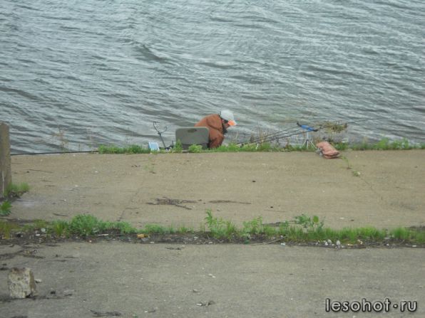 DSCN4816.JPG