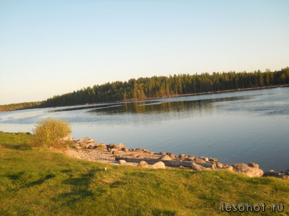 photo_00163.jpg