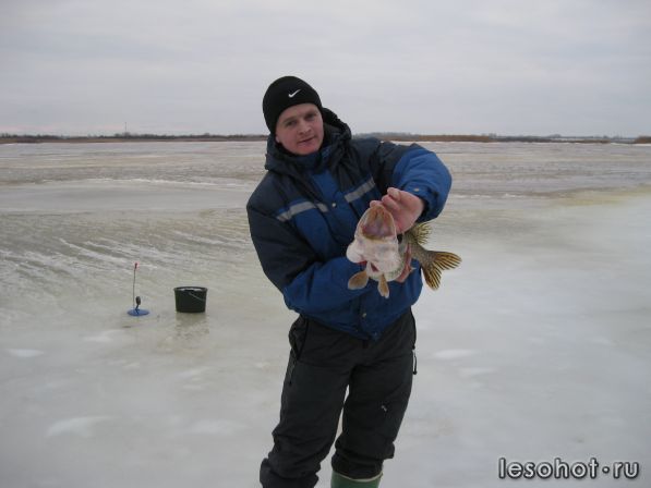 IMG_1434.jpg