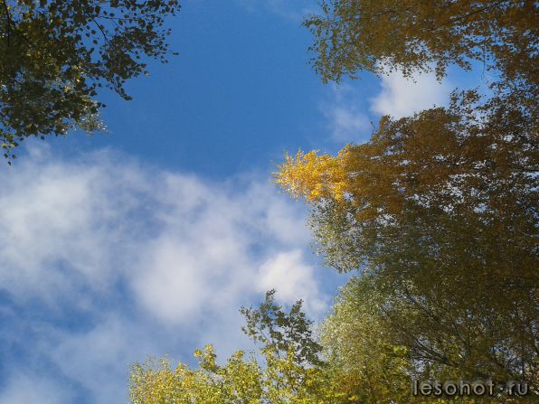 20131008_160254.jpg