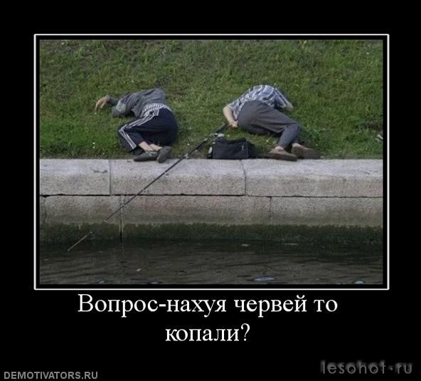 7bc317d19091.jpg