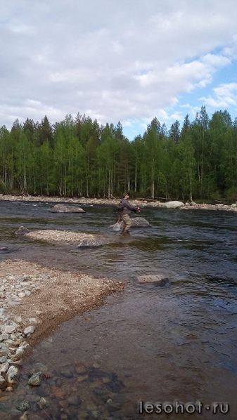 photo_00174.jpg