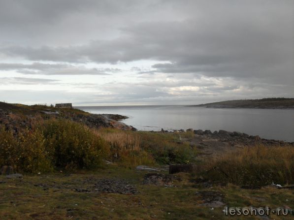 SDC10224.JPG