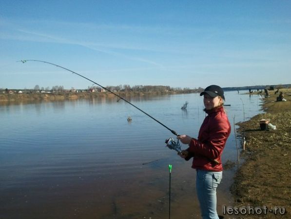 x_50f3ee50[1].jpg