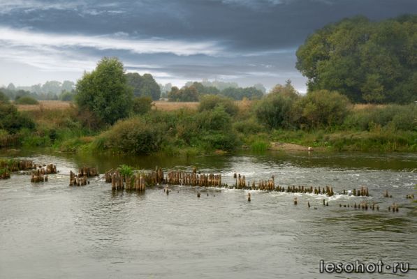 DSC_9889_1.jpg