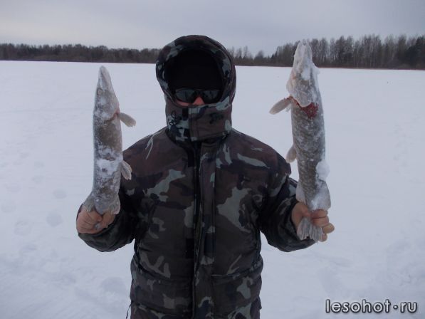 DSCN1433.JPG