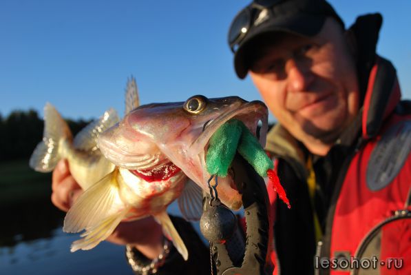 DSC_6926.JPG