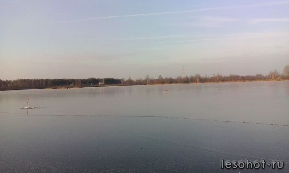 IMG_20141122_130228.jpg