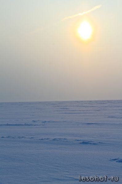 IMG_9456.jpg