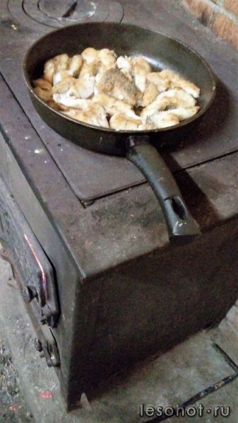 4. 20160604_235930.jpg