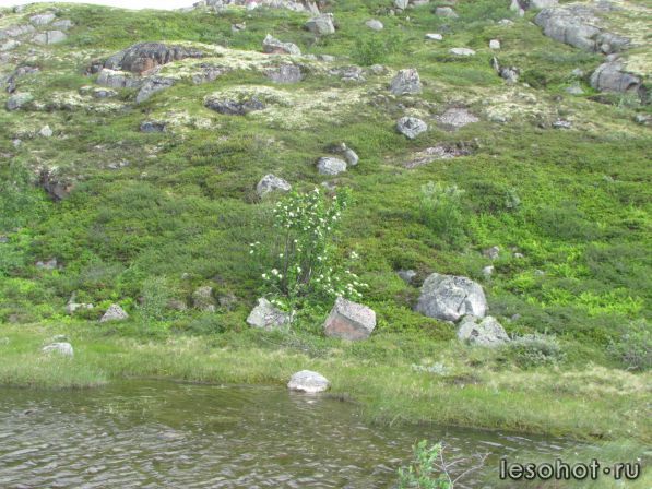 IMG_0705.JPG