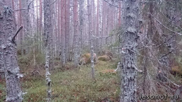 photo_00110.jpg