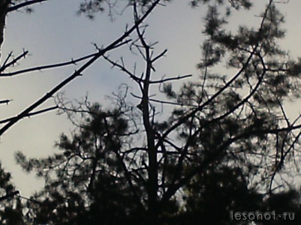 PIC_0076.JPG